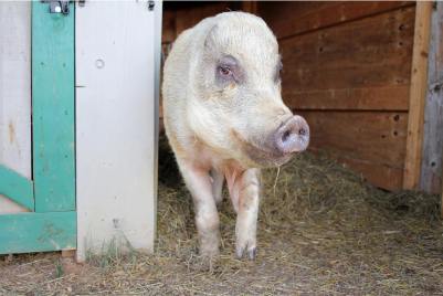 (Photo by Mark Schultz.)