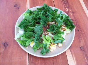 A "chicken salad"--that is, a salad FOR chickens!