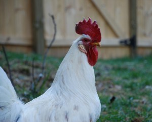 ????????????????????????????????????